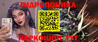 амф Обь