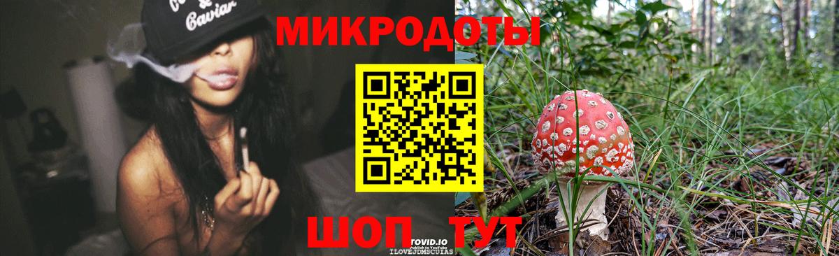 Галлюциногенные грибы прущие грибы Полысаево