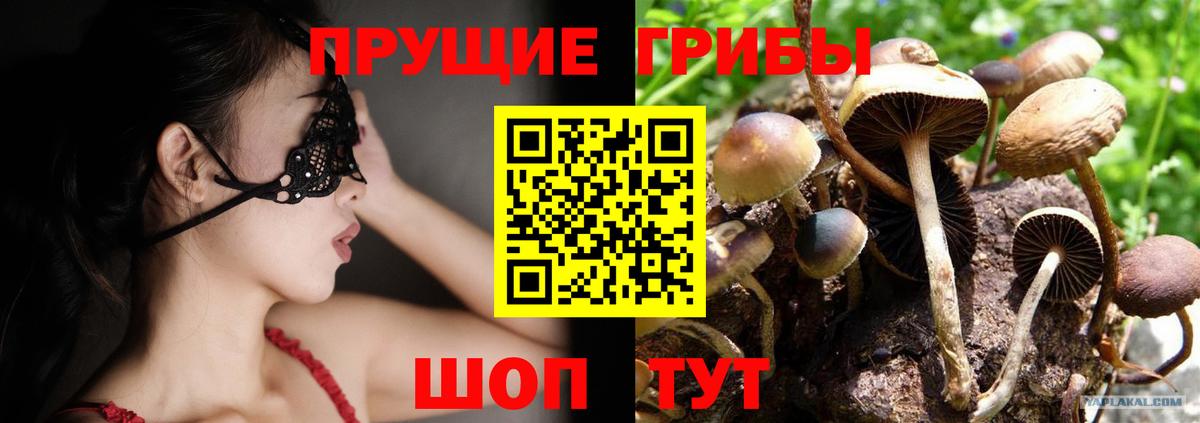 Полысаево  Галлюциногенные грибы Cubensis  Вход с VPN 